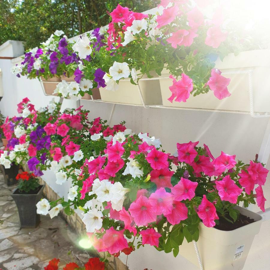 Apartment Bagaric Stari Grad  Exterior foto